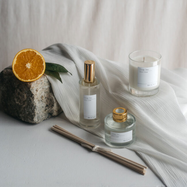 orange tree aroma boda